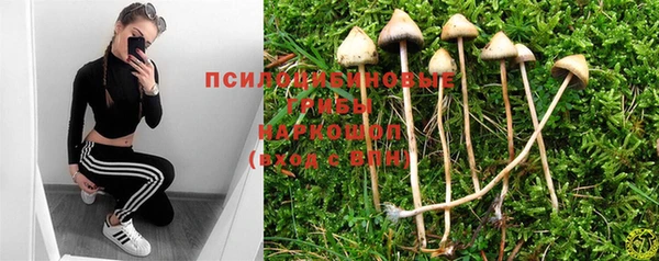 хмурый Лагань