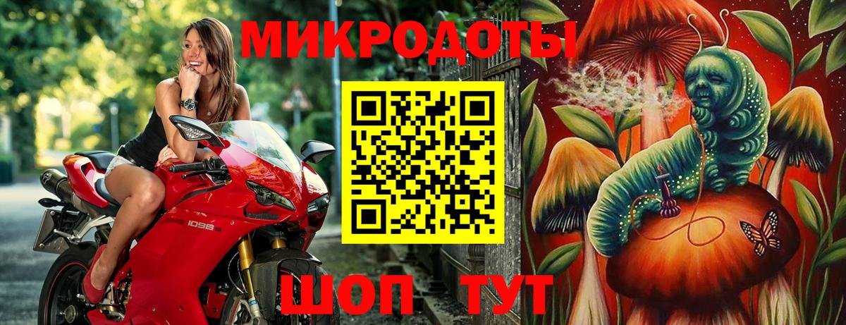 Псилоцибиновые грибы Psilocybe  Вход с VPN  Псилоцибиновые грибы мухоморы  Зеленодольск 