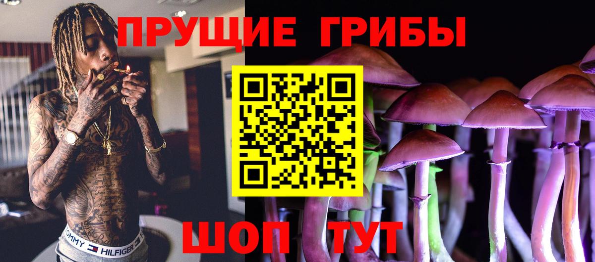 Галлюциногенные грибы Psilocybe  Зеленодольск  Галлюциногенные грибы мицелий 