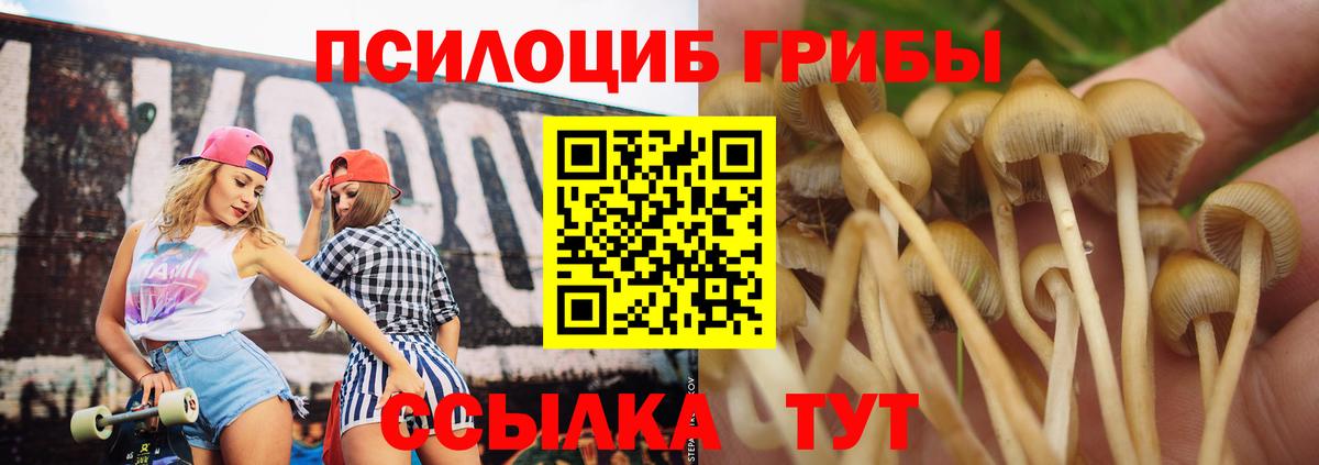 Псилоцибиновые грибы прущие грибы Зеленодольск